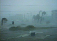 Hurricane Fran Pictures